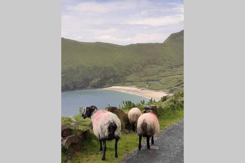 Barr An Uisce Villa Achill Sound Exteriör bild